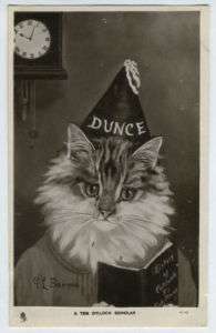 art BARNES dressed Cat School old 1910s postcard TUCK  
