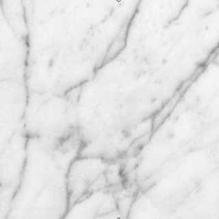 Pegasus 4 in. x 4 in. White Carrara Marble Sample 99108 at The Home 
