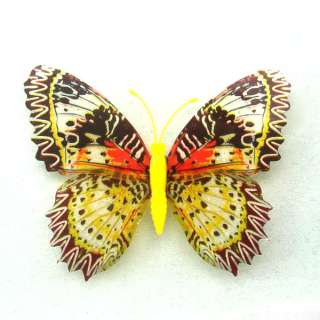 Noctiluent Beautiful Pin Butterfly 5 pcs for home curtain decoration 