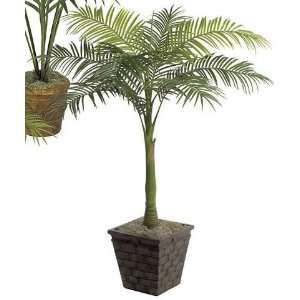   Autograph Foliages P 60551   6 Foot Areca Palm   Green: Home & Kitchen