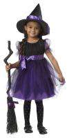 Cute!! Charmed Witch Toddler Halloween Costume 00091  