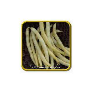  1 Lb Yellow Bean Seeds   Cherokee Wax Bulk Vegetable Seeds 