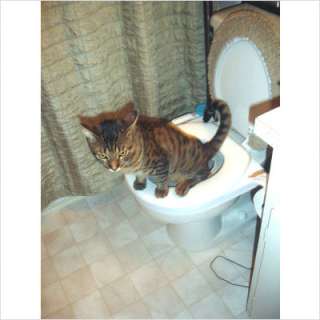 CitiKitty Cat Toilet Training Kit CK01 858878002004  