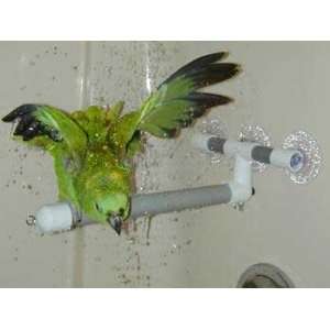  Window And Shower Perch Small (Catalog Category Bird / Perches 
