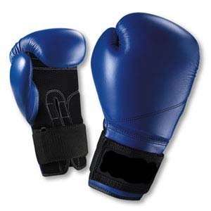  Century Heavy Bag Gloves: Sports & Outdoors