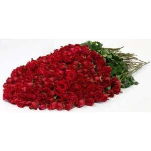 Send Fresh Cut Flowers   200 Long Stem Red Roses:  Grocery 