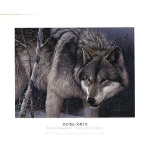  Wolf Portrait by Daniel Smith 20x16