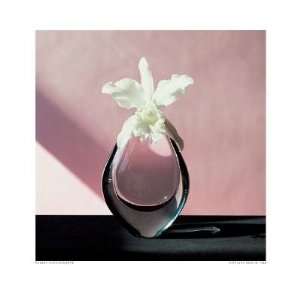  Cattleya Orchid, 1982 by Robert Mapplethorpe. Size 17.98 