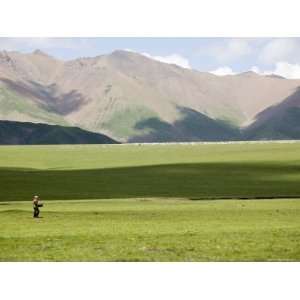  Nomad Sheep Herder Walks in a Field with Her Flock in the Distance 