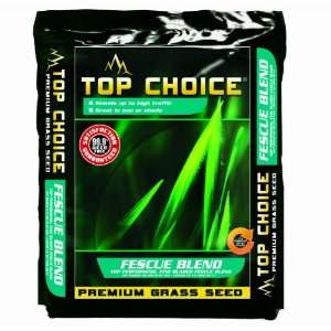  Mountain View Seed 17632 Top Choice Tall Fescue Grass Seed 