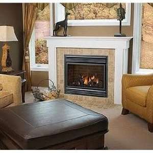   Electronic Ignition Direct Vent Natural Gas Fireplace