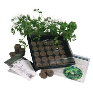  Culinary Herb Garden Starter Kit  Start Growing Fresh Cooking Herbs 