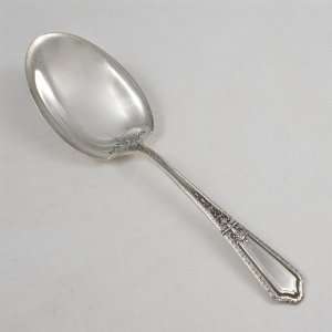  DOrleans by Towle, Sterling Preserve Spoon