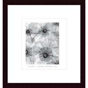   Print   Daffodil Mix   Artist: Steven N. Meyers  Poster Size: 12 X 10