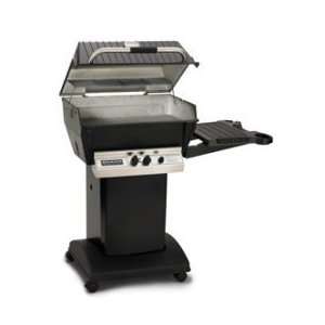   Gas Grill Package 2, In Ground Post, Natural Patio, Lawn & Garden