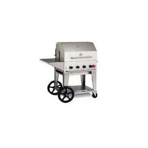   Inch Liquid Propane Gas Grill in Stainless Steel Patio, Lawn & Garden