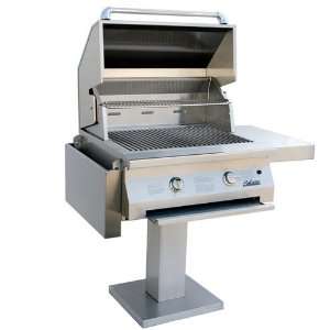  Solaire 30 Rotisserie Grill with Post   Natural Gas 