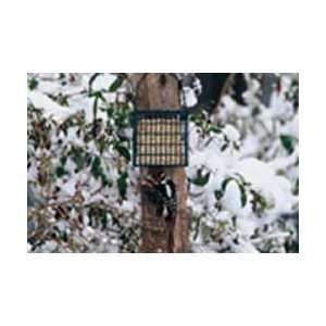  Droll Yankees Suet Feeder with Pole Clamp Patio, Lawn 